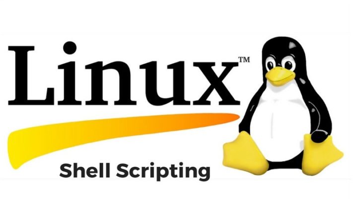 Shell Scripting