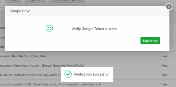 Verify google